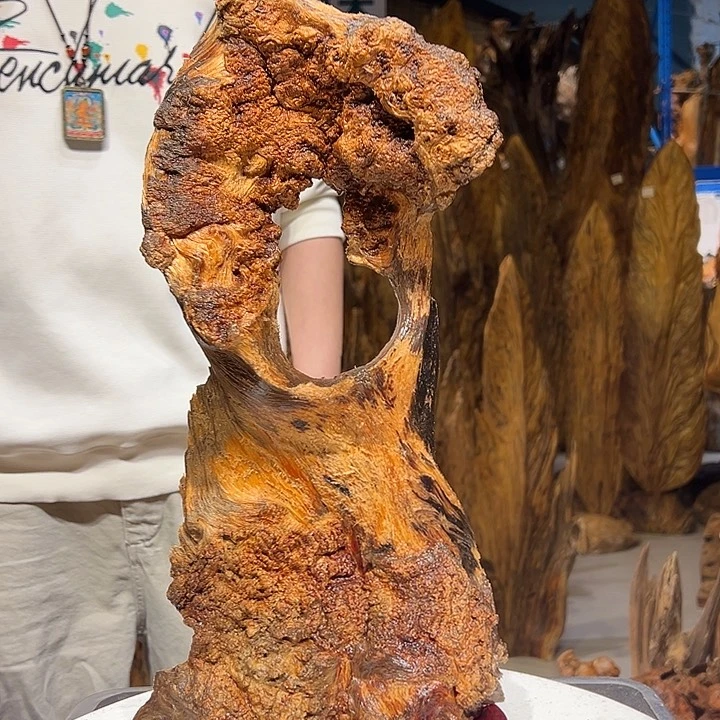 松木（琥珀木）?***