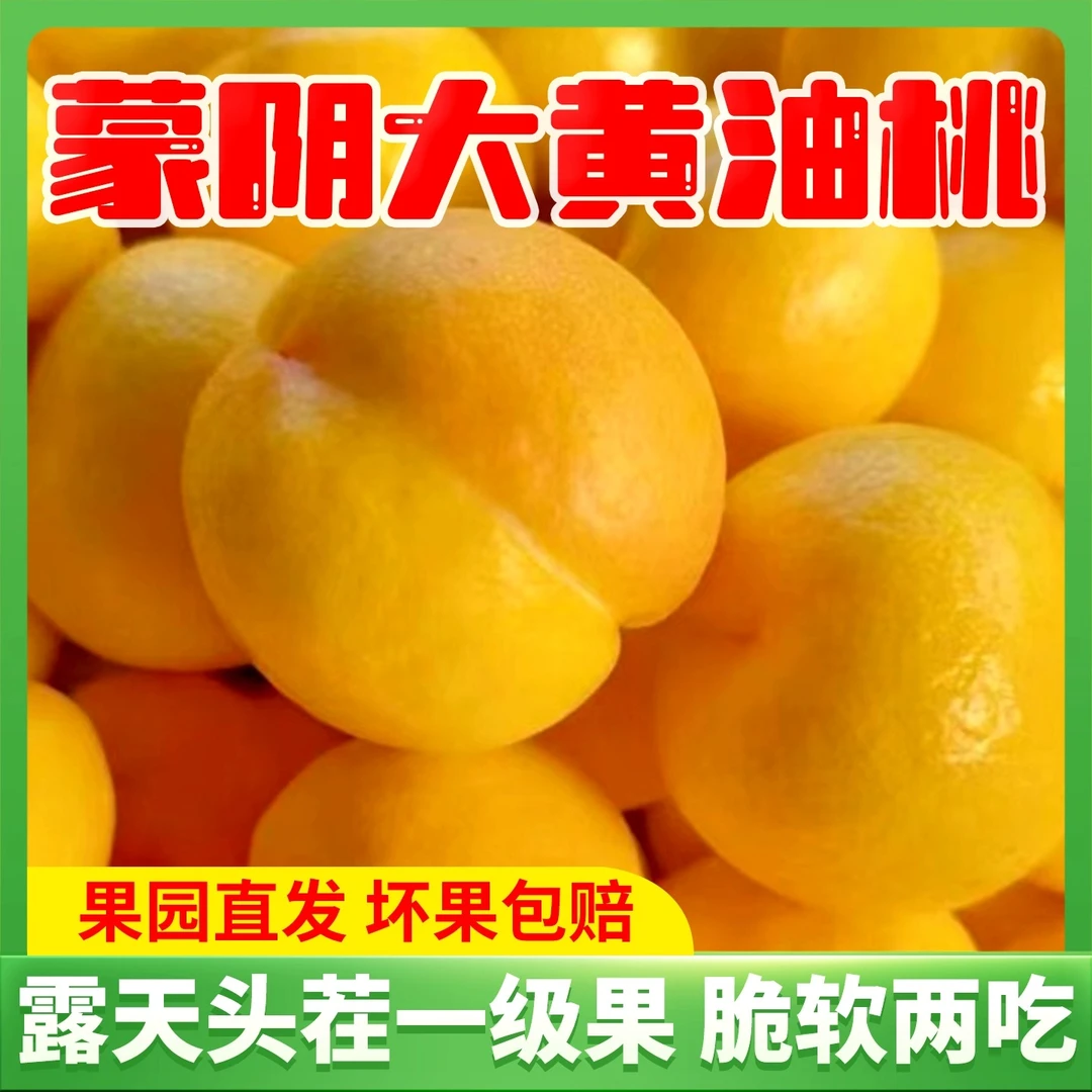 蒙阴蜜桃新鲜黄桃香甜爆汁现摘现发