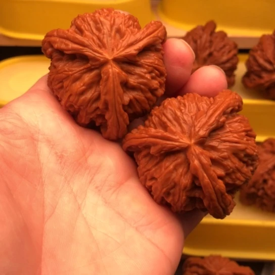 逍***哥核桃核桃核桃核桃核桃