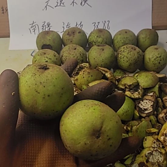 文玩核桃把件四座楼
