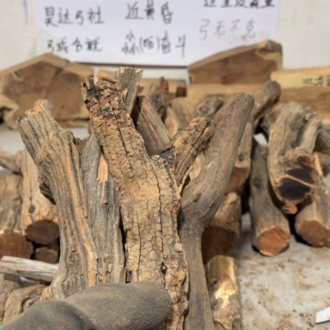 大果紫檀（缅甸花梨）言*早