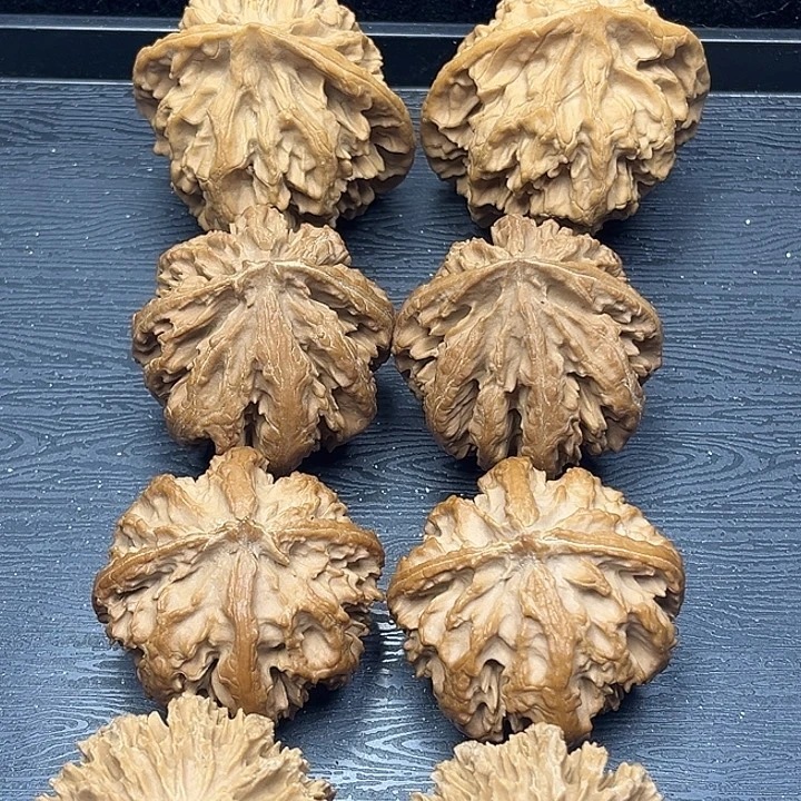 核桃秦岭突突突突突突突突突