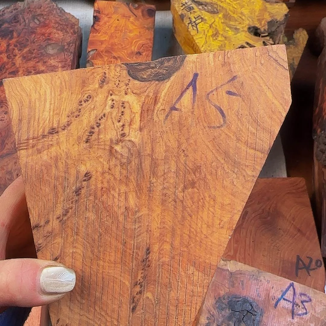 香榧木别**我鬼柳尖叶木栖榄料