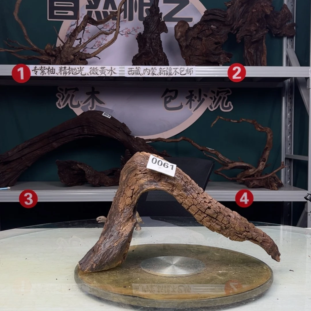 核桃木/黑胡桃（胡桃木）单*生61