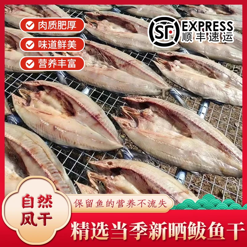 渤海湾新鲜现捕速冻深海鲅鱼深海捕捞海鱼半干淡干鲅鱼干真空包装
