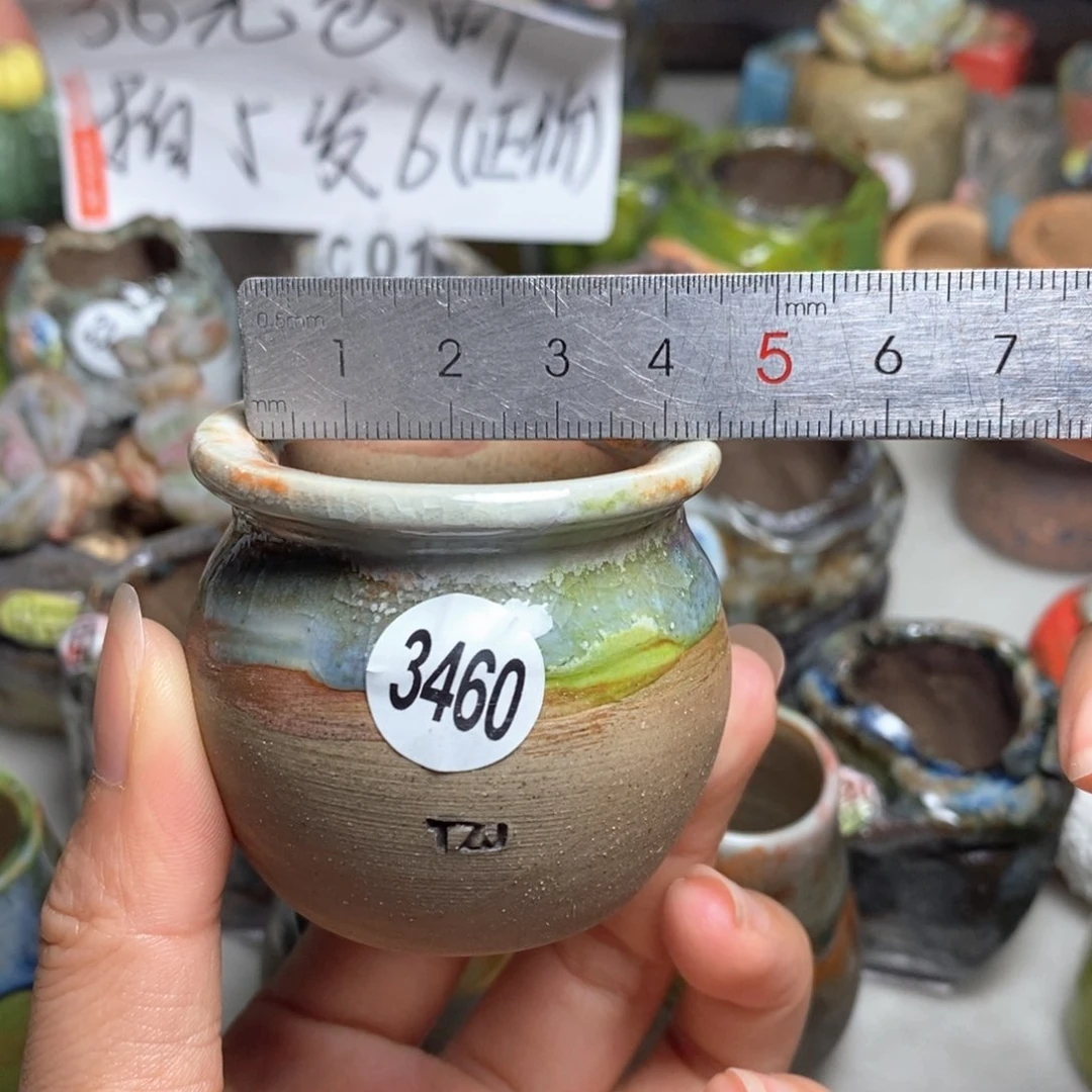 拍5送一个小礼物