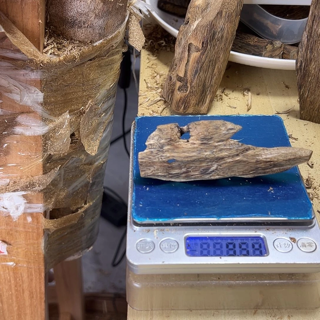香料绿奇楠虫漏9克张勺子