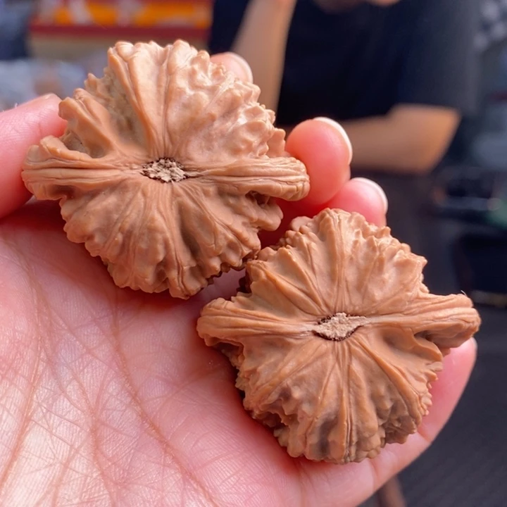 把件文玩核桃白狮子46尺