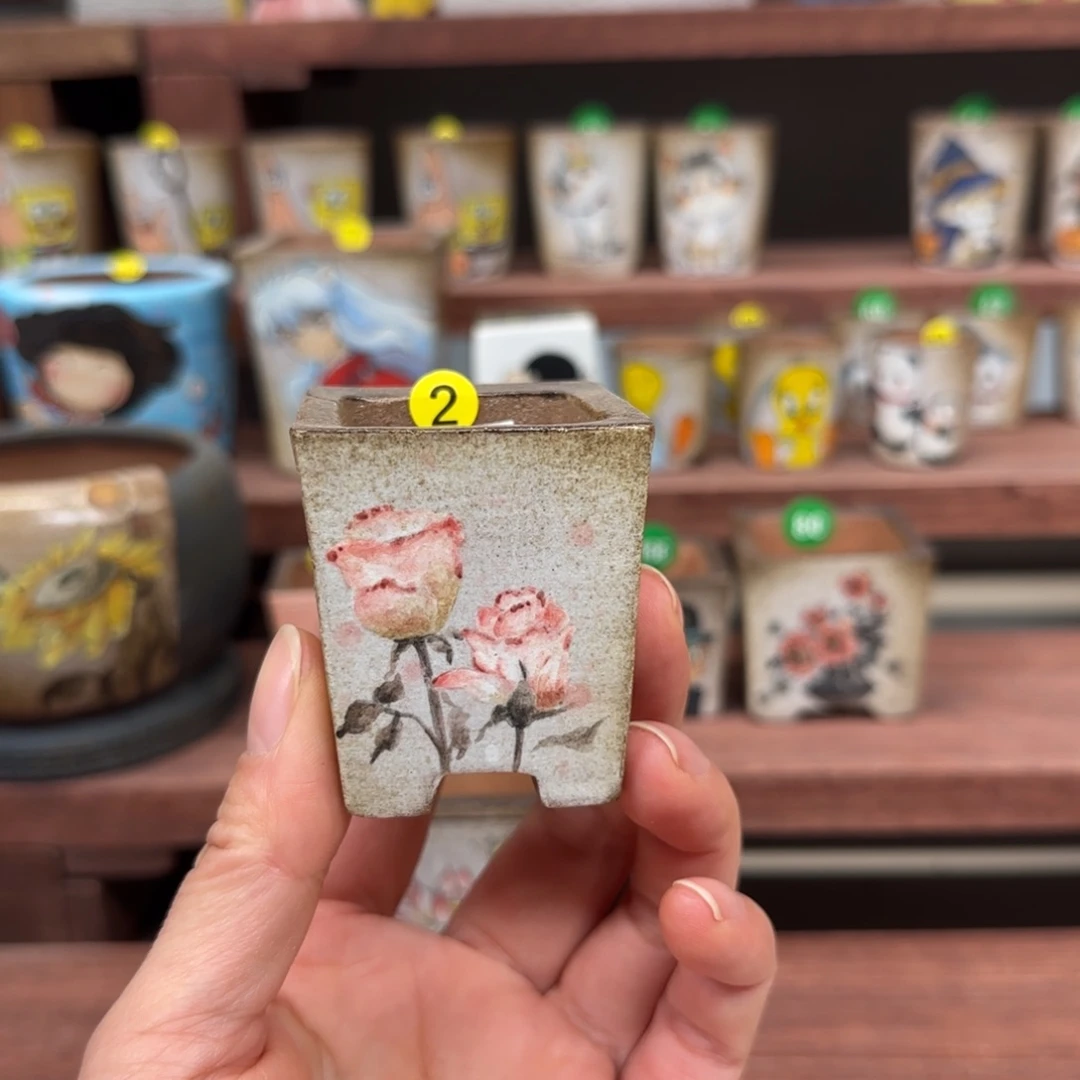 内口尺寸3.5厘米左右特价盆