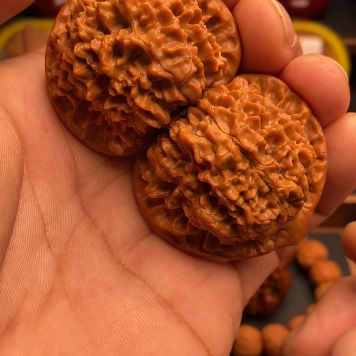 文玩核桃把件梅**儿麒麟