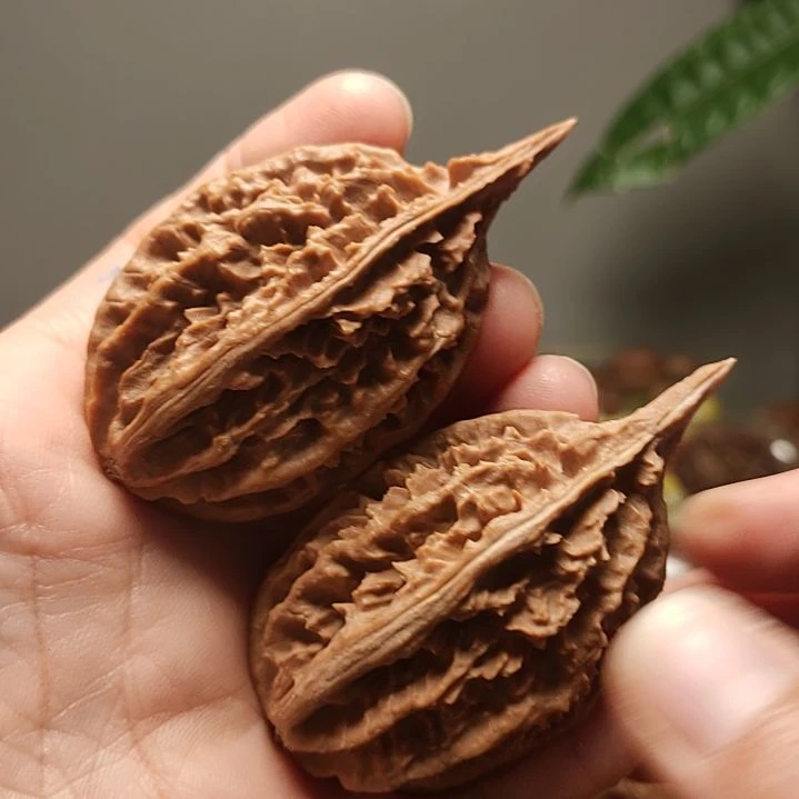 简***透吊坠文玩核桃柳叶