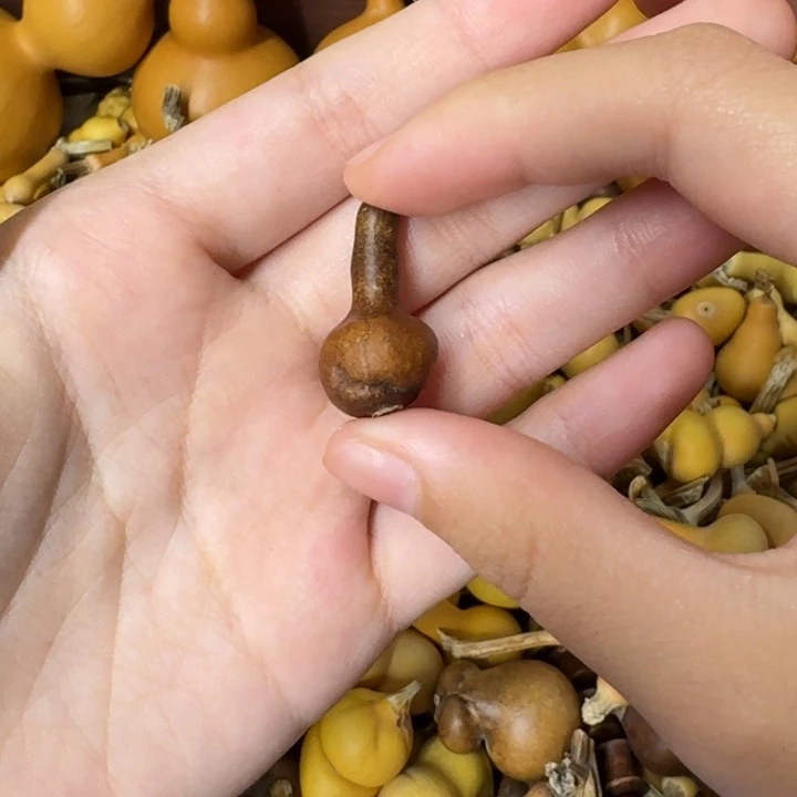 葫芦葫芦葫芦不包邮