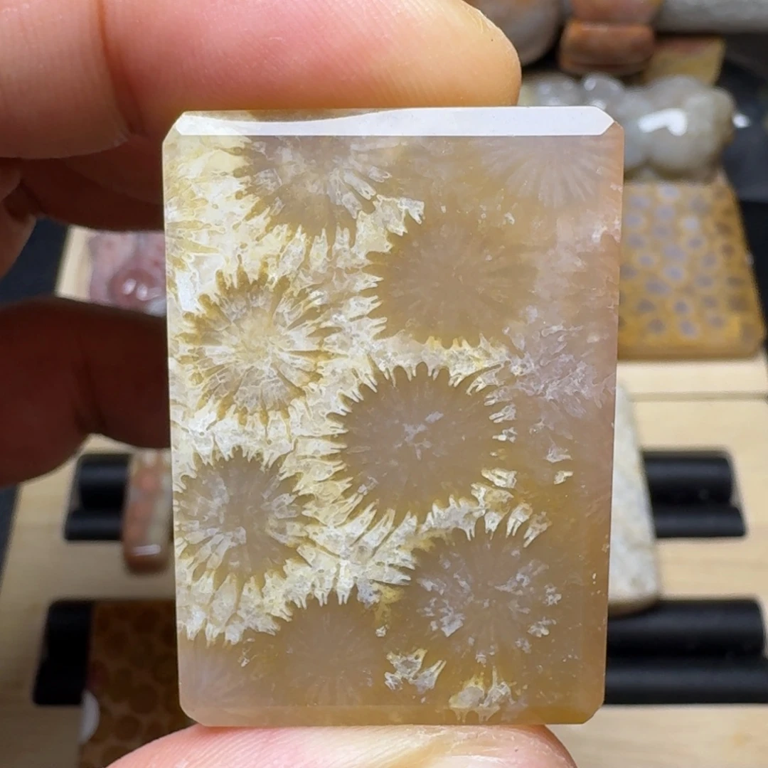 硅化玉未镶嵌纯天然色有机玉石保真色