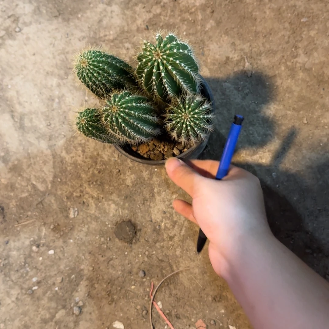 尢***晞可口可乐了可口可乐