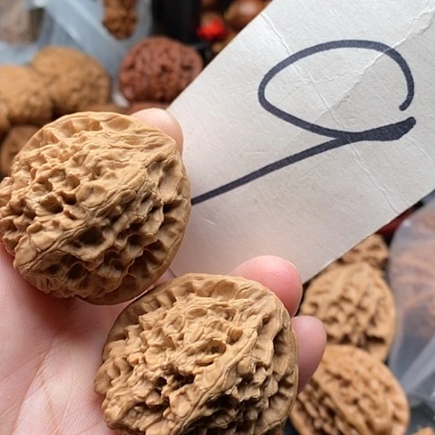 桃核吊坠39野牛核桃