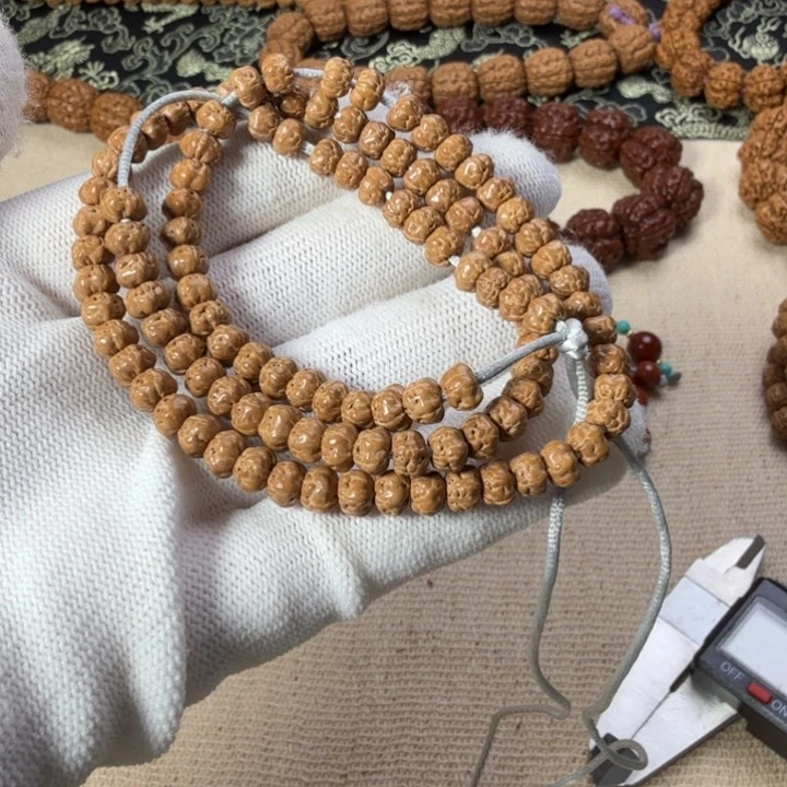 手串金刚菩提五抓金龙