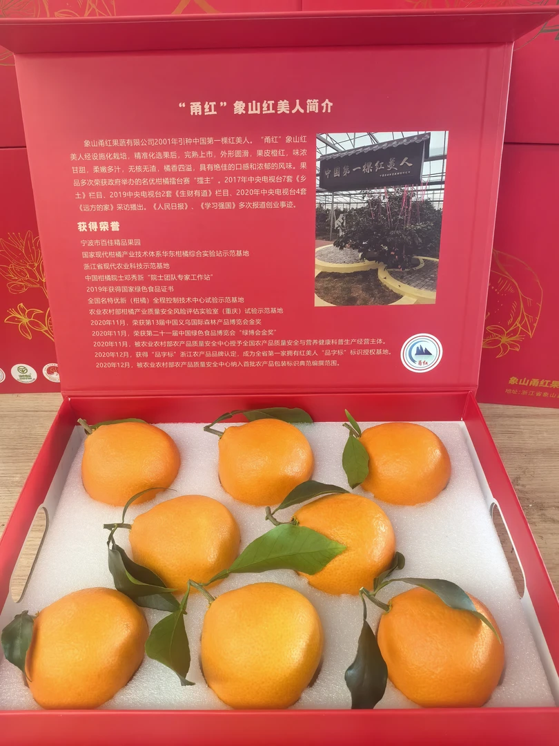 【次日达】正宗象山红美人柑橘桔子晓塘原产地新鲜水果