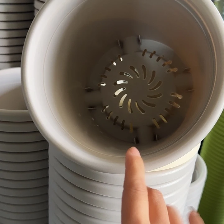 四季3号灰白无托10个特价微瑕