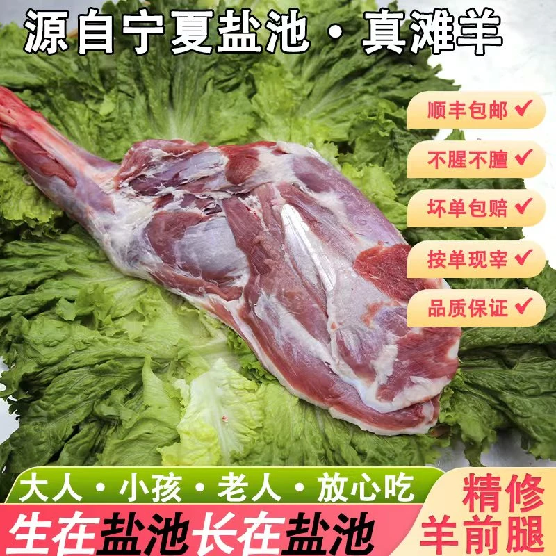 马军盐池羔羊-羊前腿-5-10斤（半羊/整羊、整扇/切块、xx%腿排）