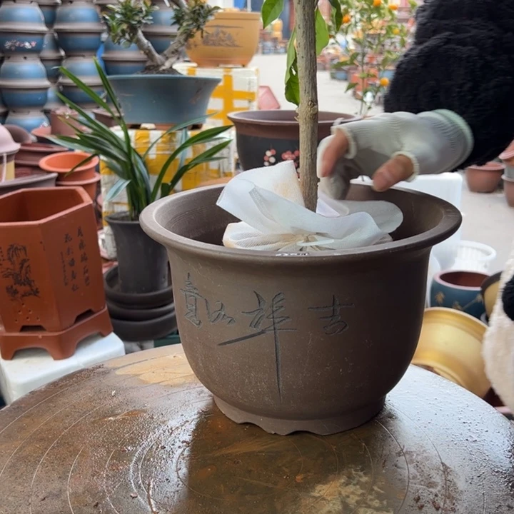 紫砂宜兴紫砂平角金钟25+25