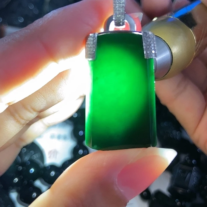 翡翠18K金镶嵌颈饰墨翠