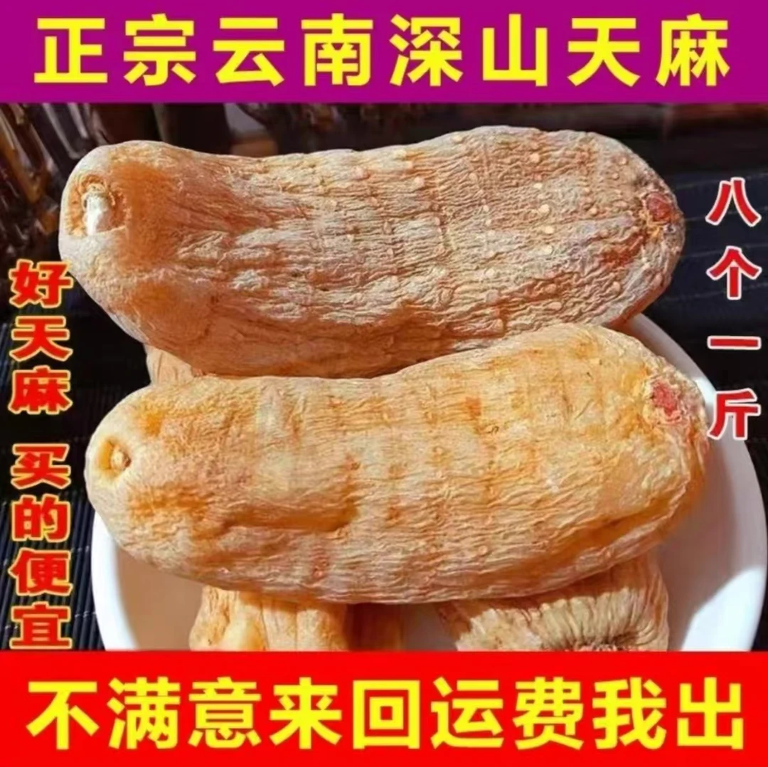 乌天麻正宗云南昭通特产小草坝乌天麻天然食用饱满干天麻