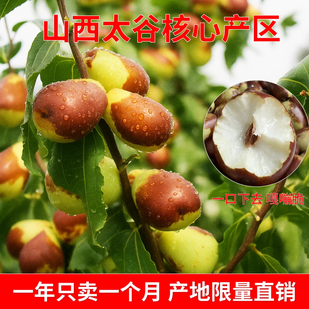 山西太谷壶瓶枣 脆甜新鲜枣 山西特产 应季水果只吃一个月