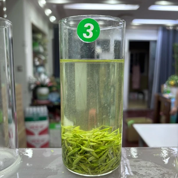 2025毛尖明前芽头清香淡雅泡茶经典