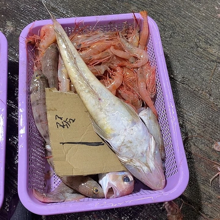 中国大陆海鲜杂货1号