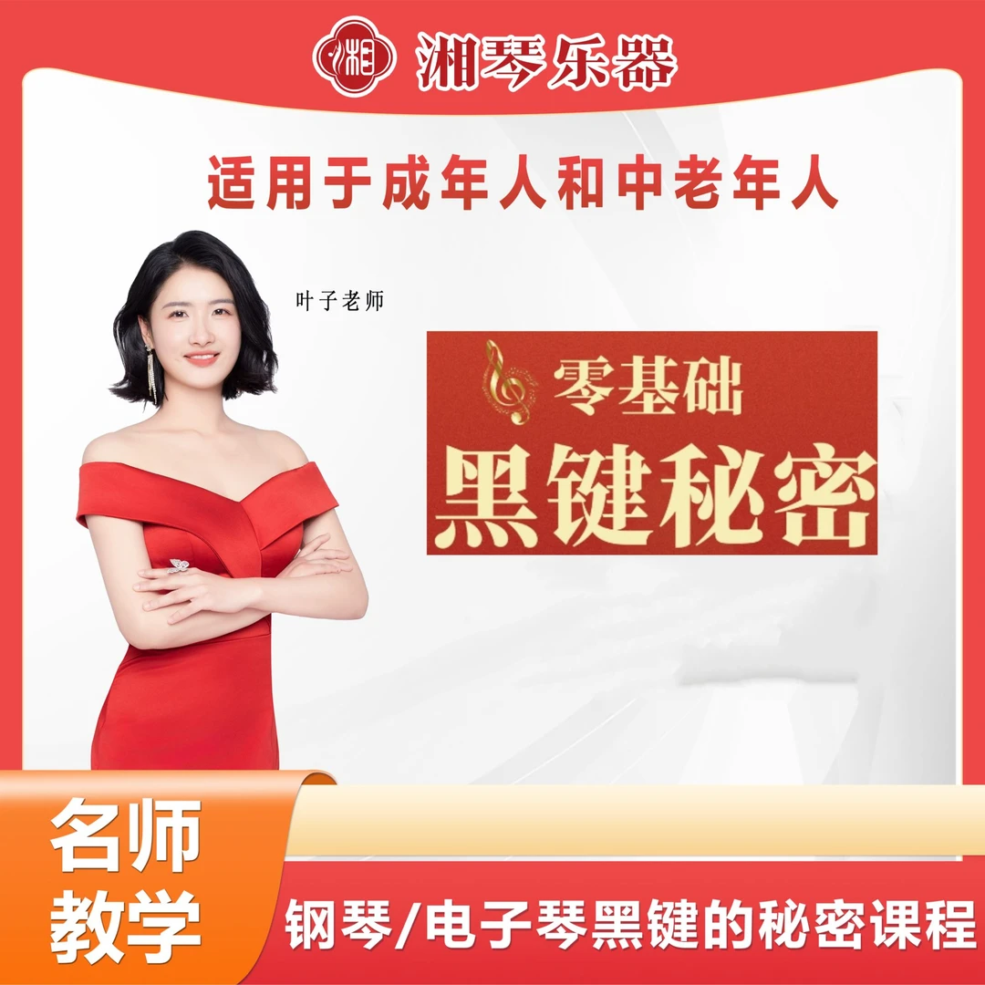 湘琴叶子电子琴钢琴左手万能伴奏黑键课程零基础小白快速入门