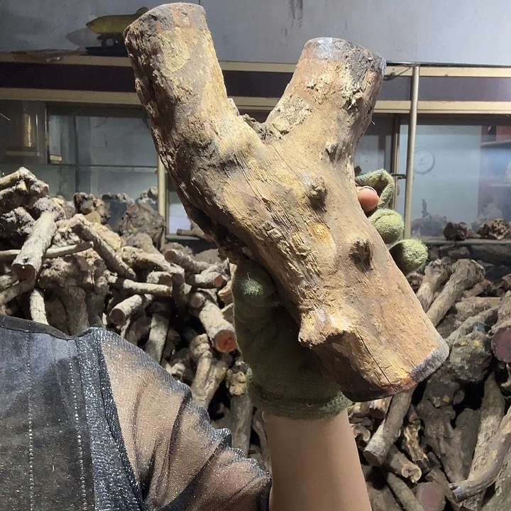 用***5香榧木火琉璃的故事是一个人