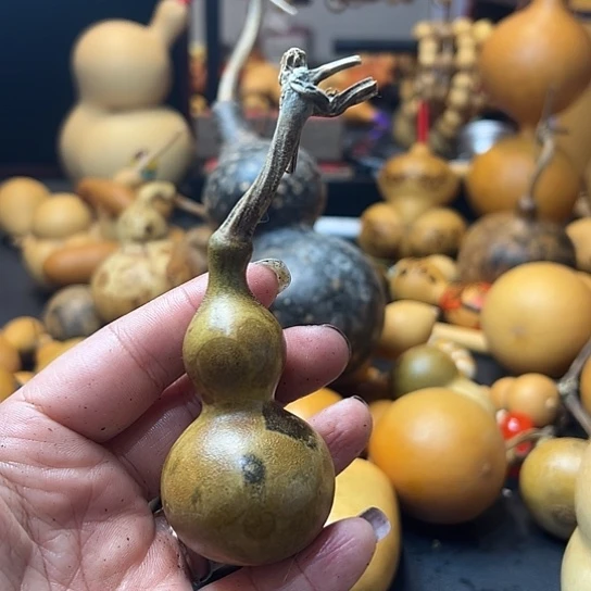 元****贞葫芦葫芦葫芦葫芦