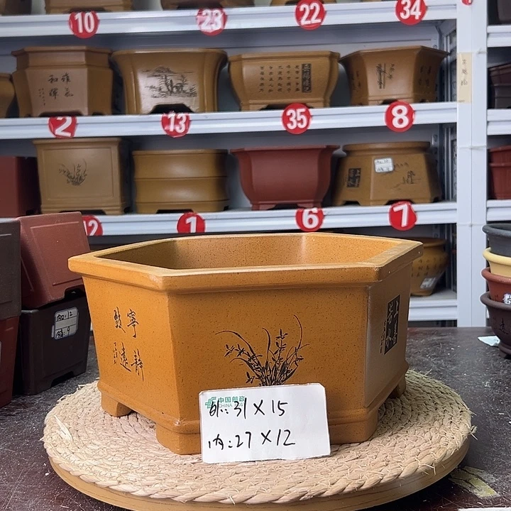紫砂花盆蛇年大吉