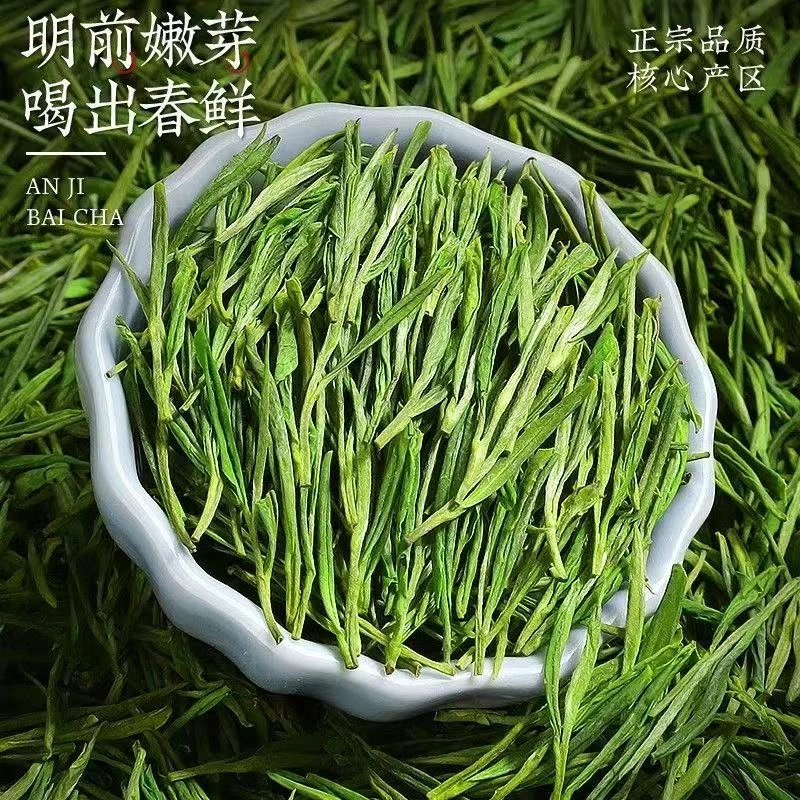 【中秋好礼】2025新茶安吉珍惜白茶正宗特级铁观茶明前绿茶叶浓香型