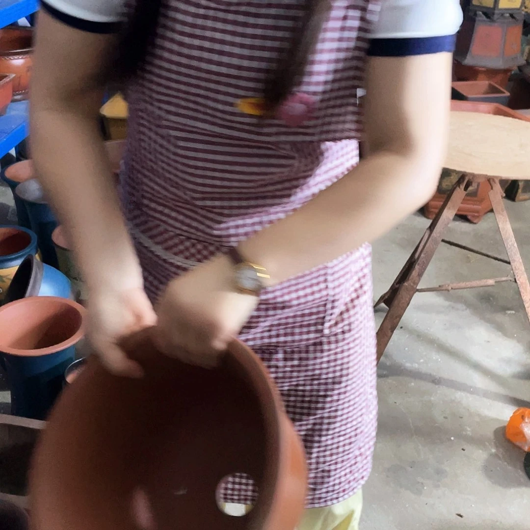 花盆里的小猫咪们都是52