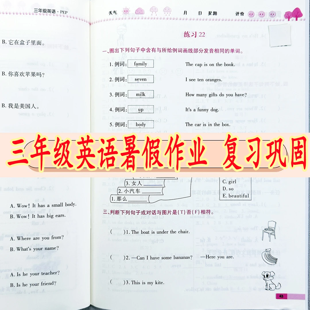 三年级下册暑假衔接练习册人教版三年级暑假作业暑假预复习一本通