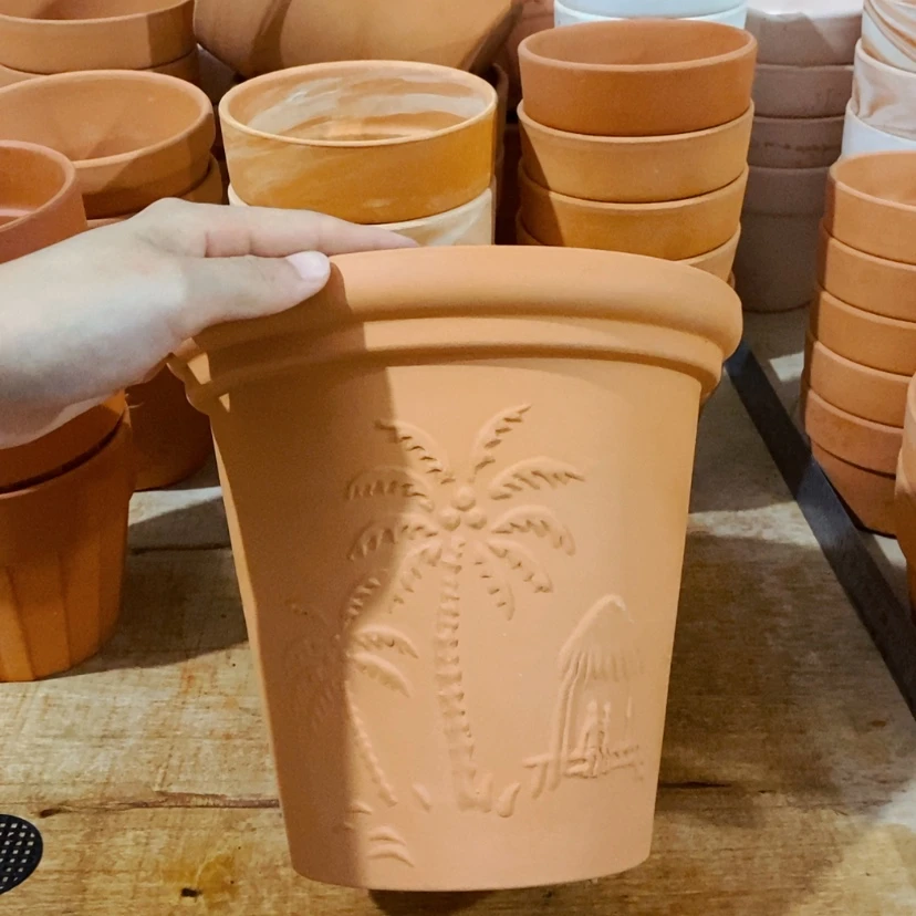 【闪购商品】椰树20×19-1