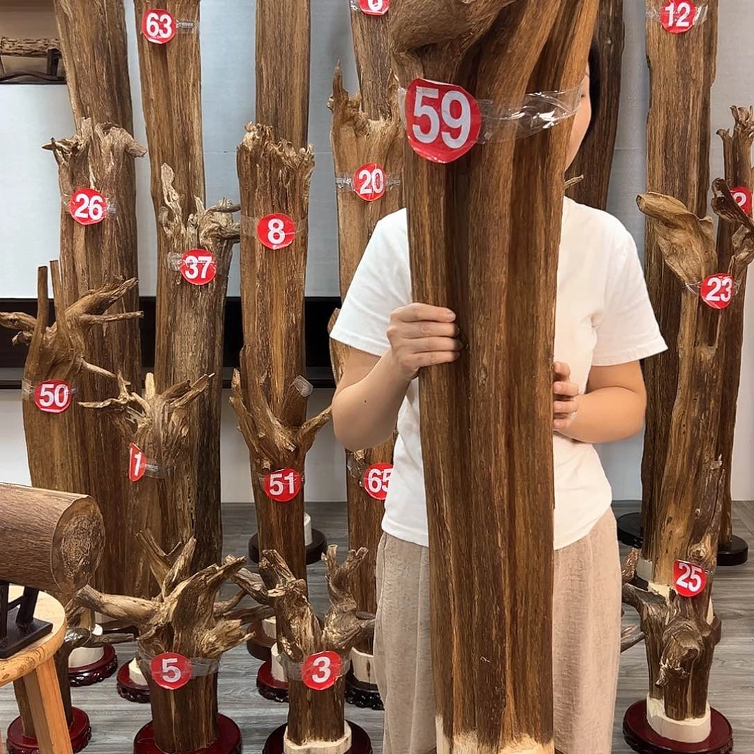 沉香碎屑沉香沉香碎屑