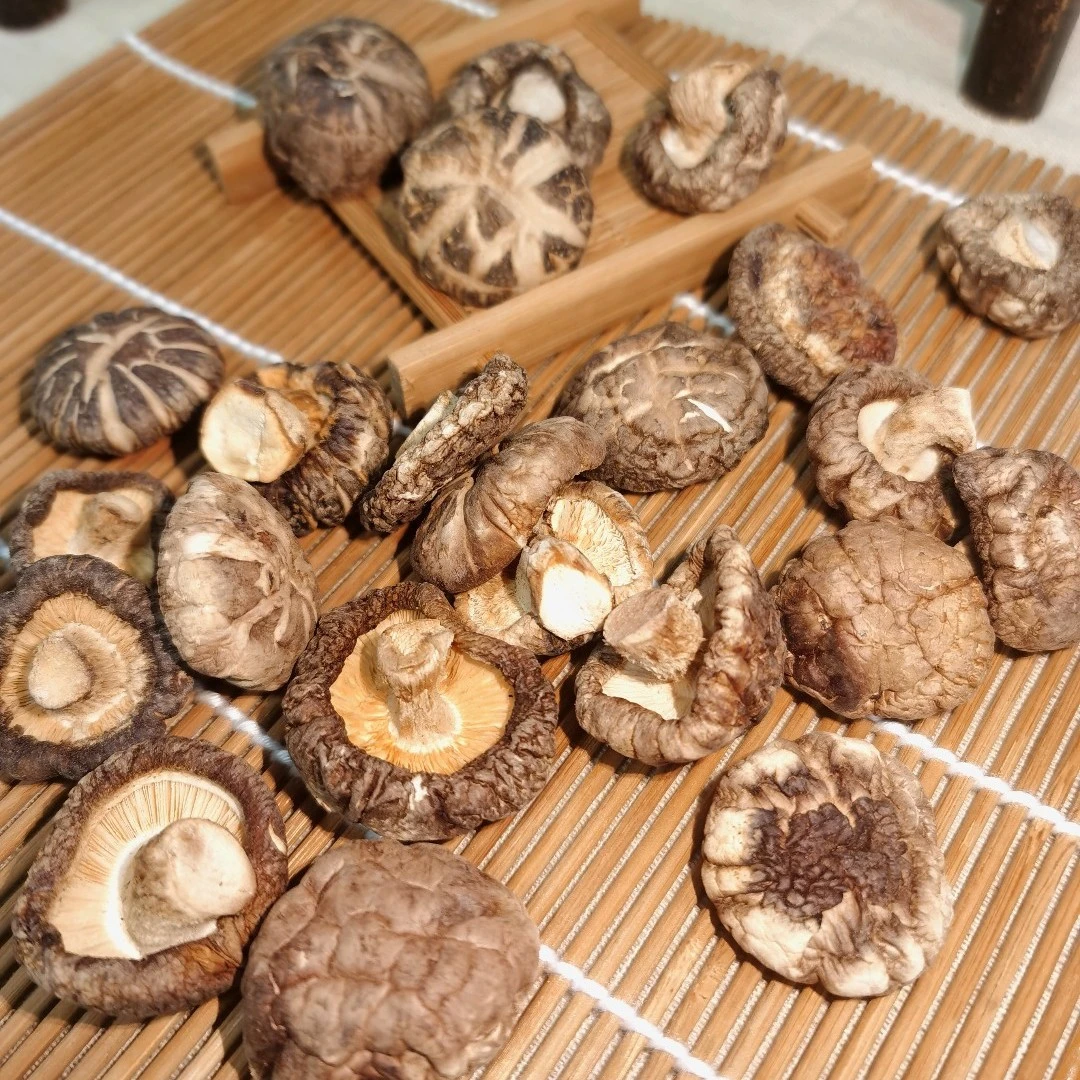 云南花菇新鲜干货500g
