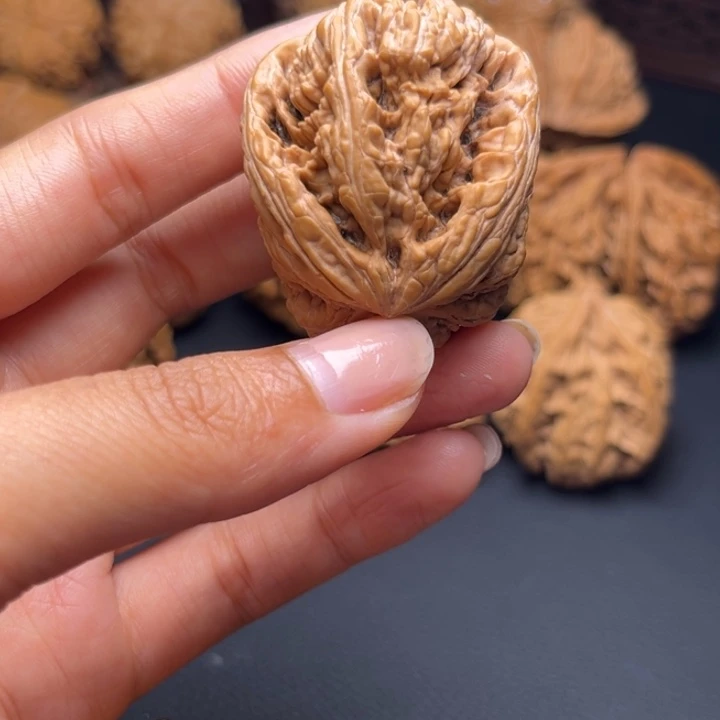 硬*柠粗筋小兔子核桃哈哈哈哈哈哈哈哈哈哈