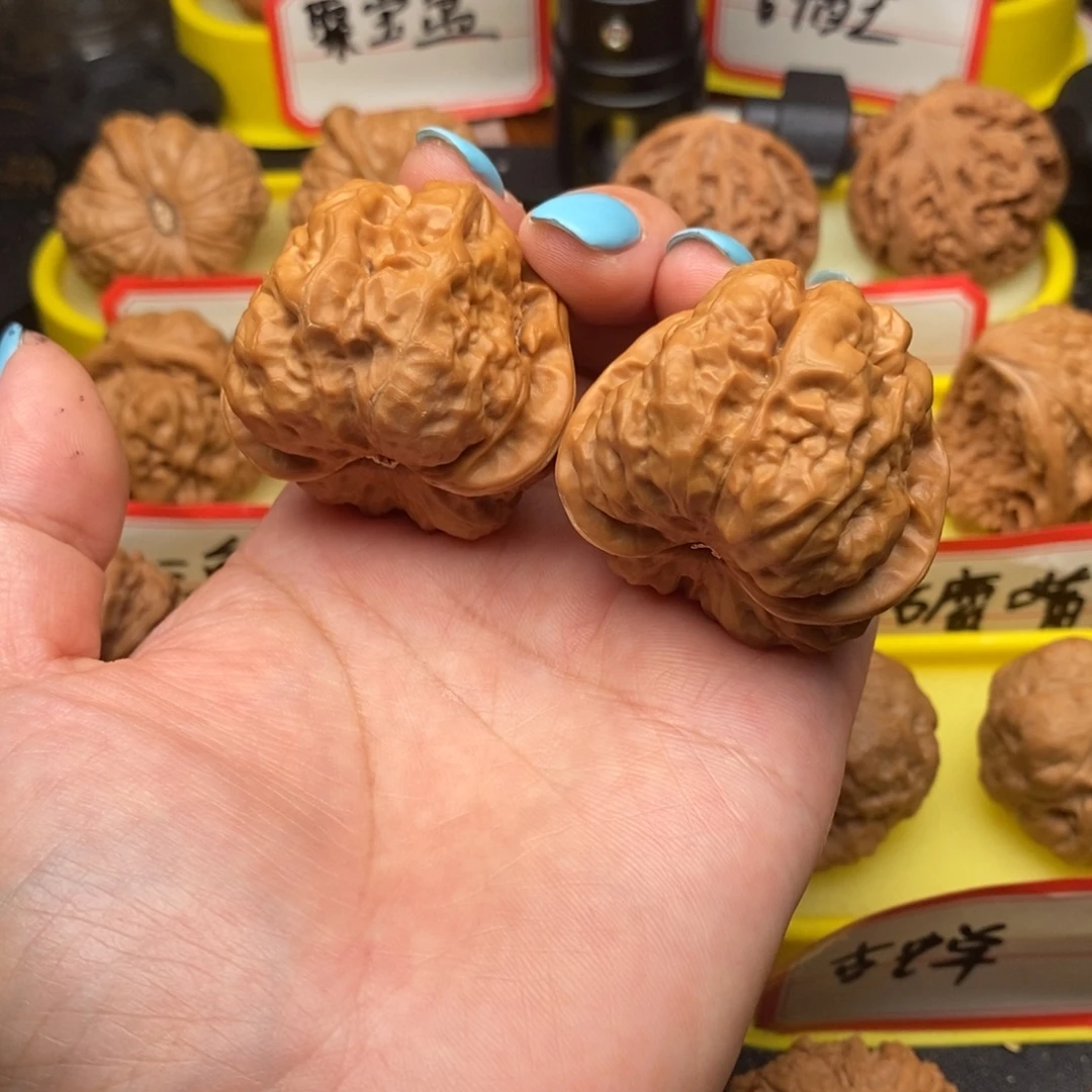 菩提籽类三角蛙蛙