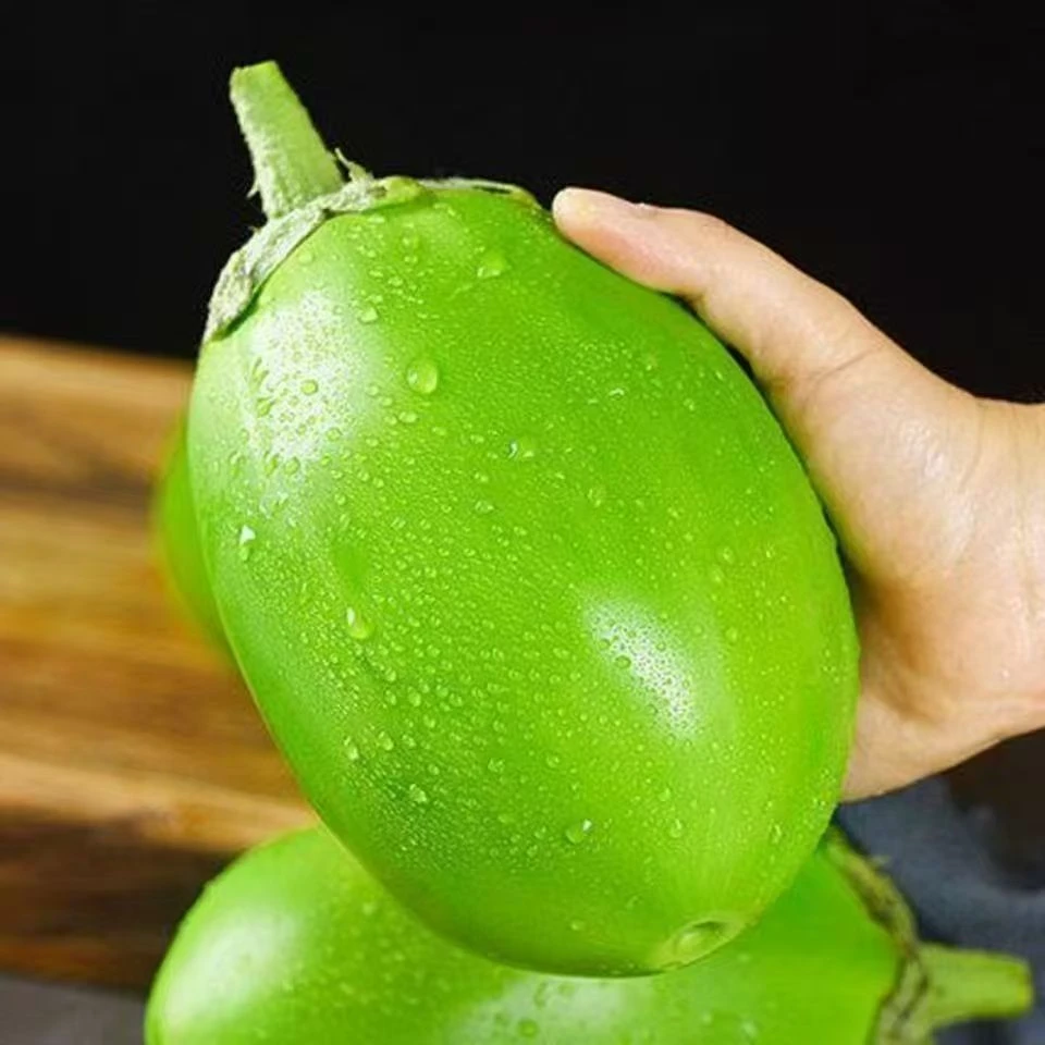 【青茄子】河南自家种植 新鲜采摘 青茄子 圆茄子 当季新鲜孕妇可吃