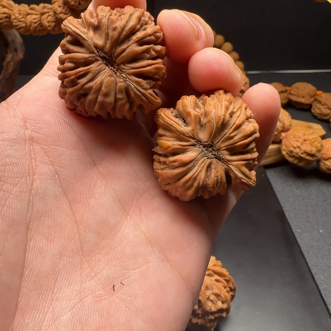 核桃四座楼全品无修