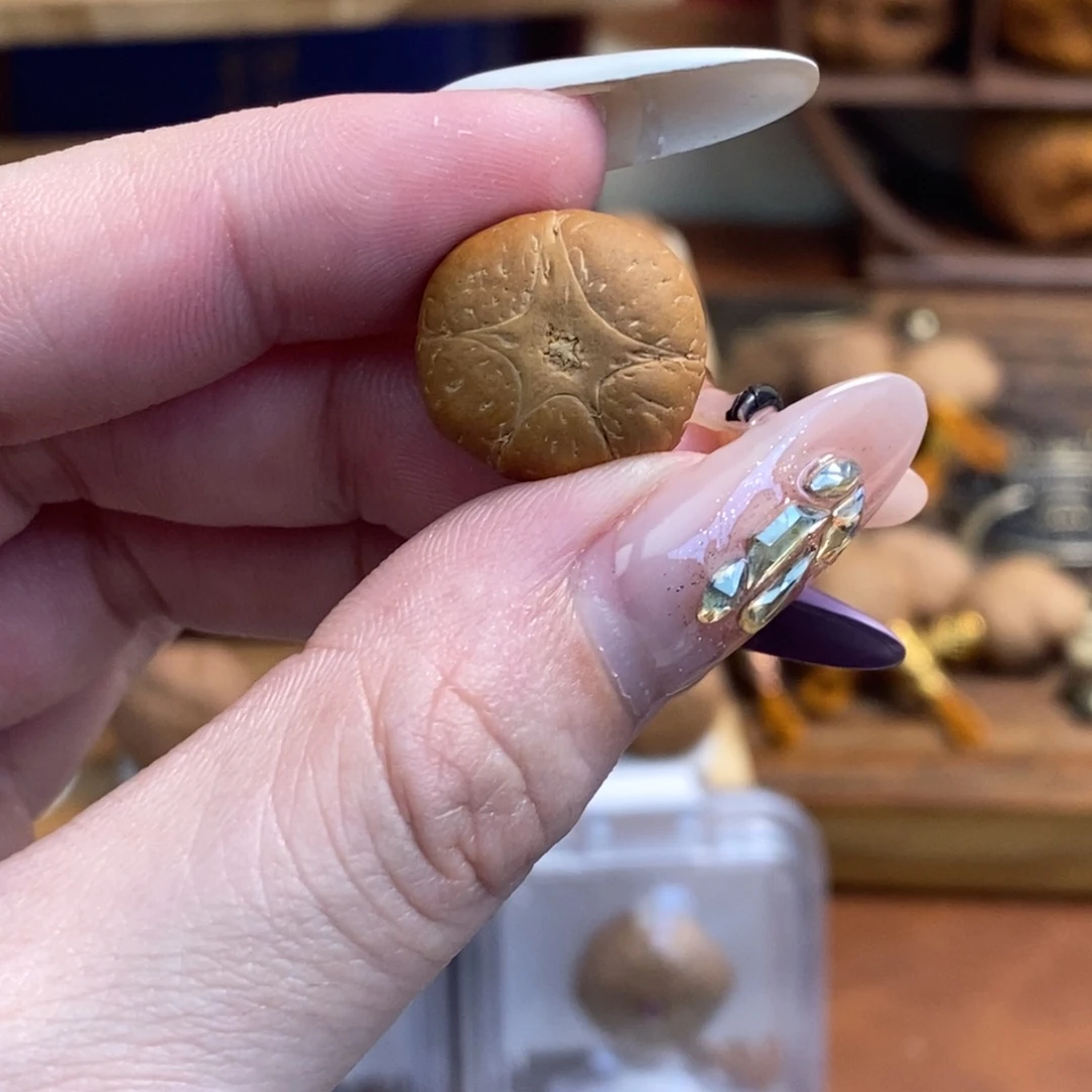 凤眼菩提吊坠16.6五星单颗