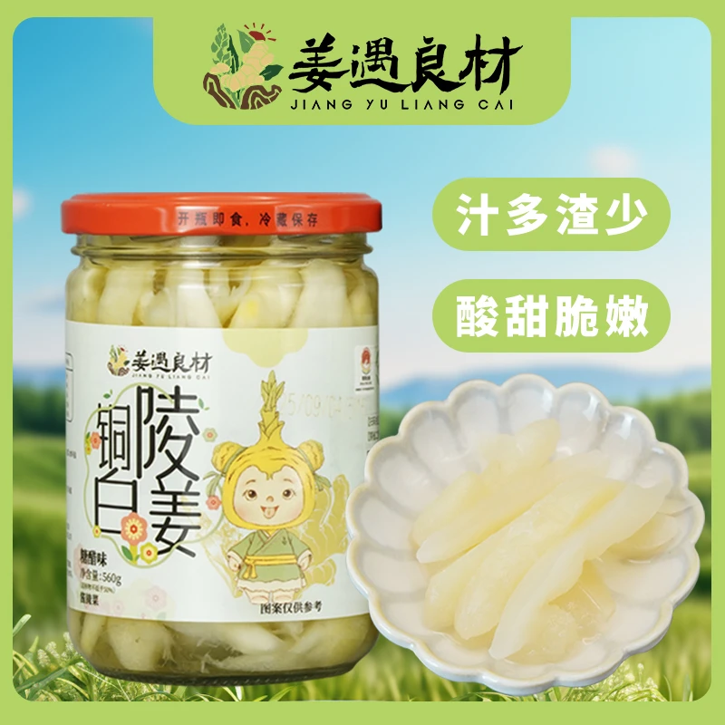 铜陵特产生姜白姜糖醋嫩姜醋泡姜芽姜头酱菜泡菜酱汁味560g玻璃瓶