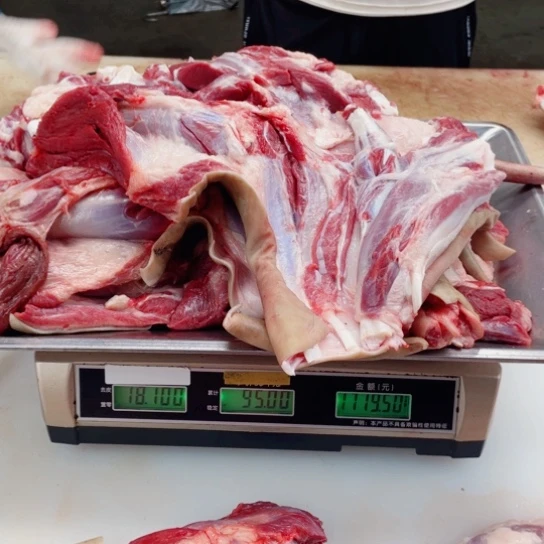 【闪购商品】冷冻保存30天包装河北省