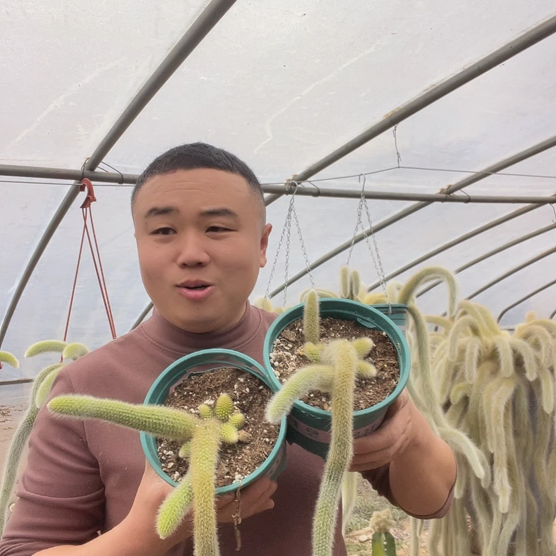 磊**8九尾狐群生一物一拍