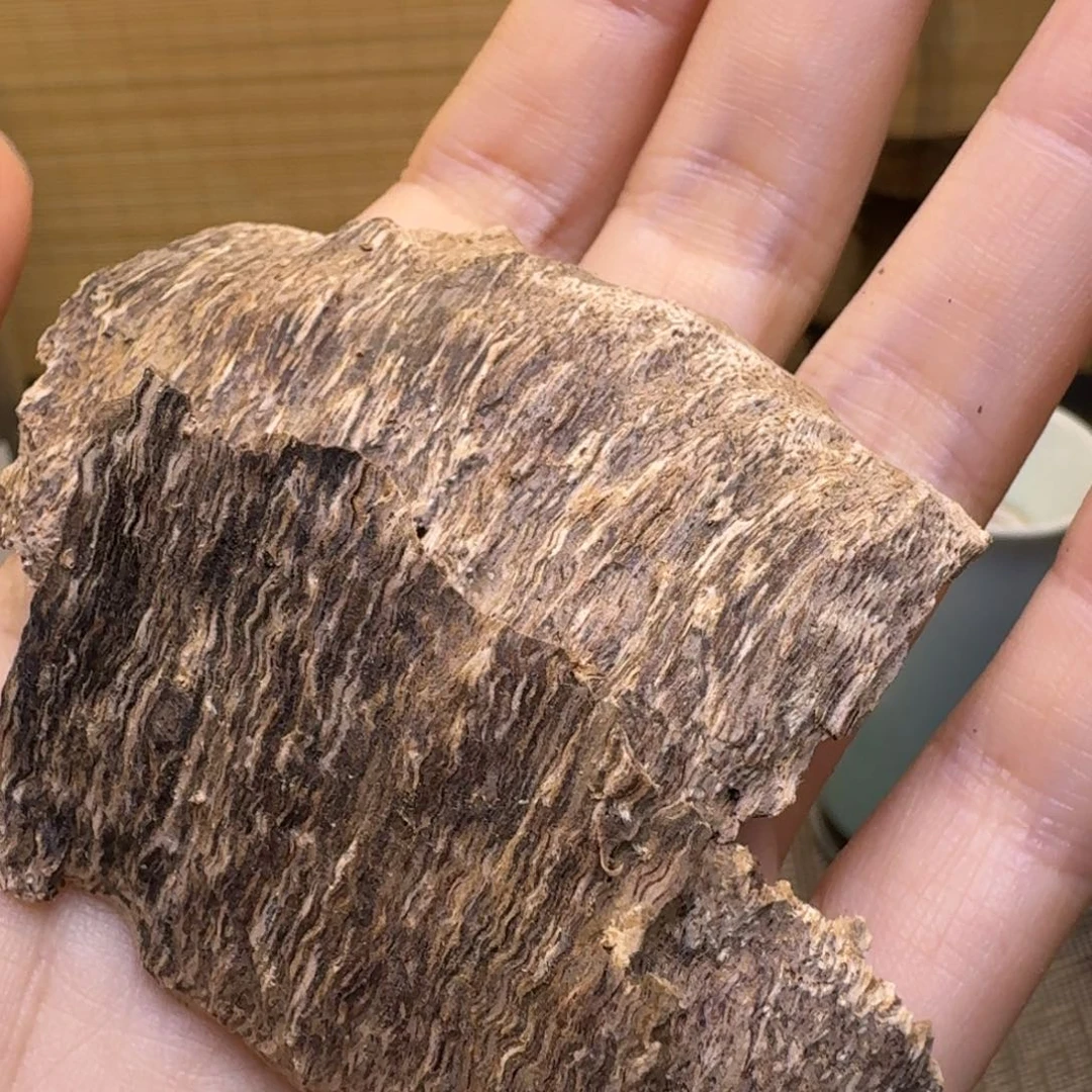 香榧木海南黎母山虫漏4.2克