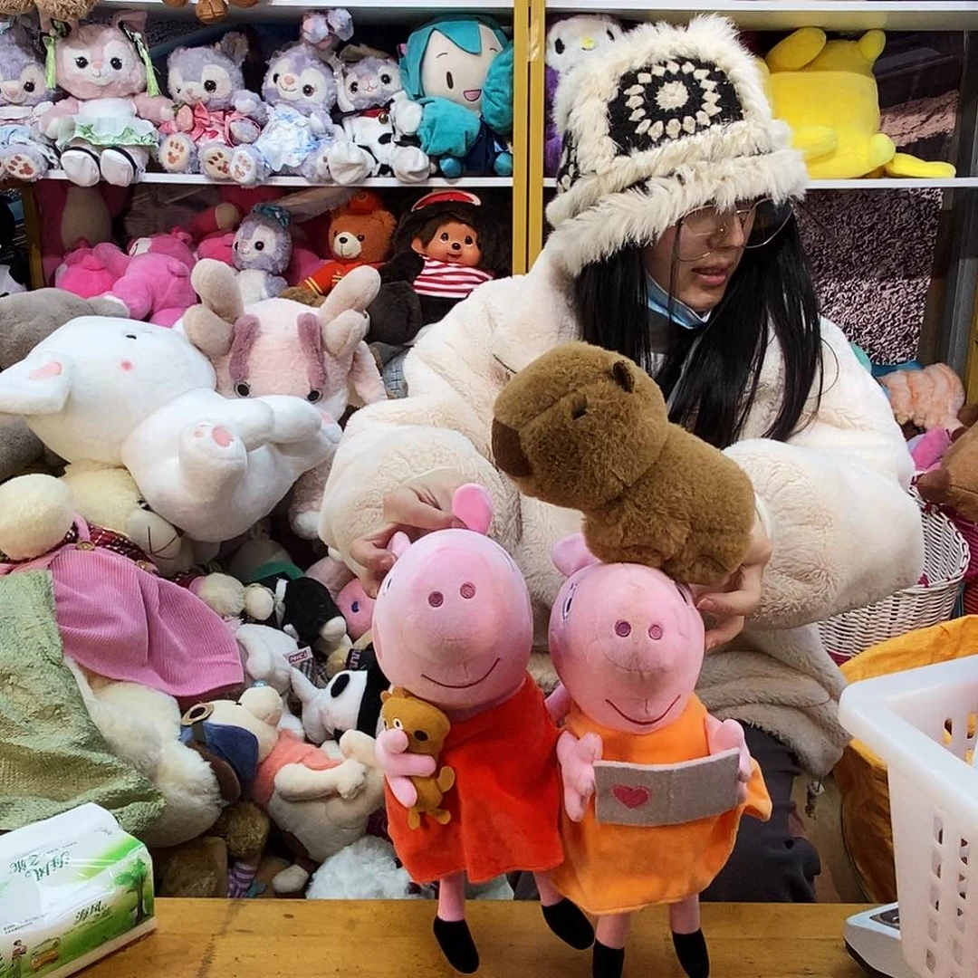 毛绒毛*毛绒玩具139