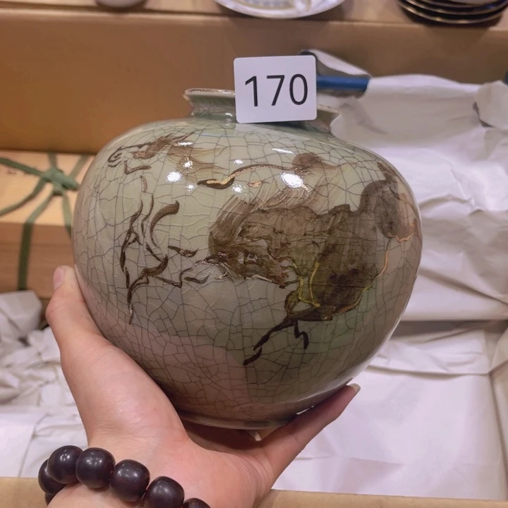 茶宠我们都在努力着改变自己和